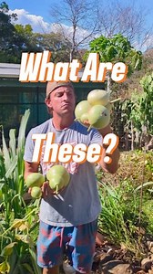 24 reactions | How to make a birdhouse without having to build a birdhouse. #birdhousegourd #birdhouse | Survival Gardener | Facebook