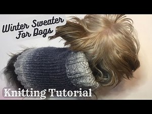 Winter Sweater For Dogs Knitting Tutorial