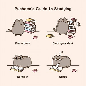 📚🐱💤 | Pusheen