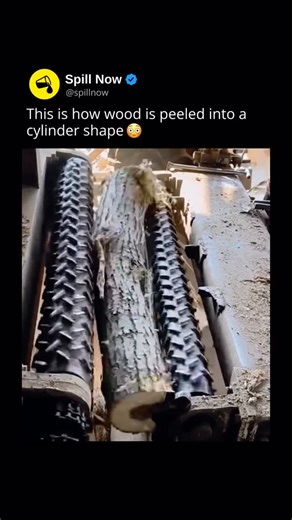 Spill Now on Instagram: "😳 Wood is peeled into a smooth cylinder shape using a process called rotary peeling, a method commonly used to make plywood and wood veneer. First, logs are soaked in hot water or steamed to soften the wood fibers, making them more flexible and less likely to crack. Once softened, the log is mounted horizontally on a large machine called a veneer lathe, where it spins continuously like a giant rolling pin. As the log rotates, a long, sharp blade presses steadily against