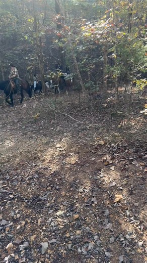 Beautiful day for ride! Calico Junction Ranch | Jennifer Wakefield Nothstein