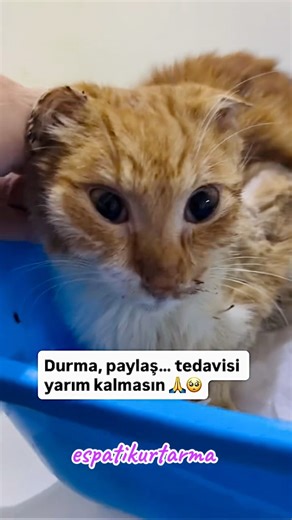 Acısı çok büyük, ilaçları çok pahalı.