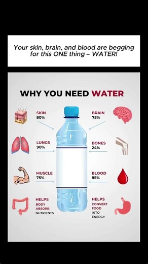 Why Your Body Needs Water 💧 | Benefits of Drinking Water Daily | Stay Hydrated #viral #trending