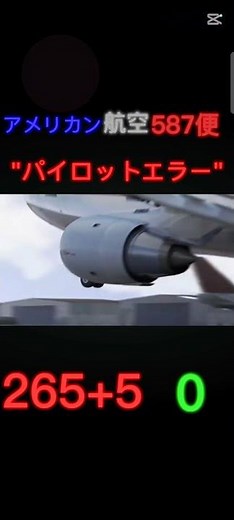 エアバスA300事故集 #飛行機 #飛行機事故