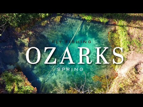 Fly Fishing an Ozark Mountain Spring for Trout // Catch & Cook!