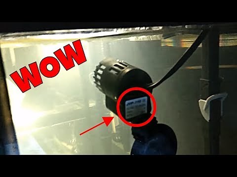 Sun sun mini wave maker review ! Cheap aquarium circulation pump under $10