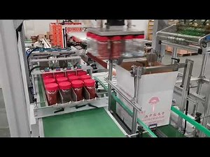 High-Efficiency Cobot Case Packer for Smart Packaging Automation with carton erector and box sealer