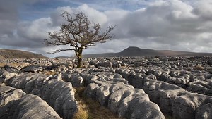 7 Common Landscape Photography Editing Mistakes