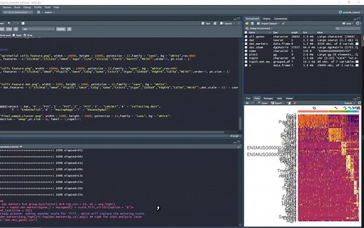 R实操演示scRNA-seq工作流程