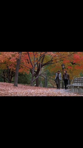 When Harry Met Sally Filmed Vertically! Watch Now!