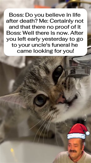 Hilarious Funeral Excuse Backfires 🤣