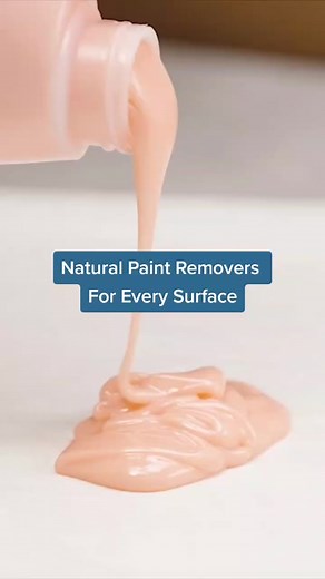 You can skip the harsh chemicals and still finish your home improvement project with our expert suggested natural paint removers and top painting hacks!#homereno #thespruce #paintinghacks #homerenovationonabudget #ecofriendlyliving
