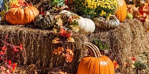 Make a Spooky Spectacle With These Outdoor Halloween Decorations