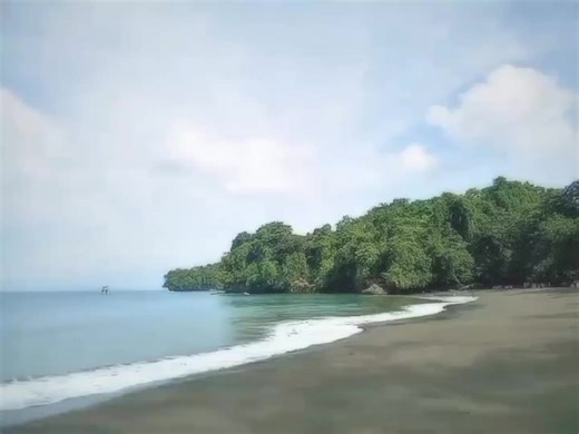 #nhp_music #nhp0508 #lyrics #fyp #viral