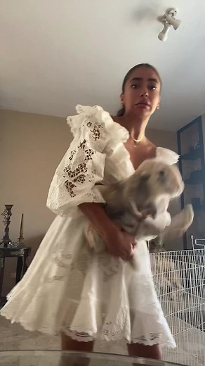 Fun and Adorable Rabbit Moments in Bloopers