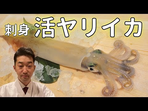 【イカ刺身】活イカを美味しく捌く寿司職人のやり方・イカの姿造り
