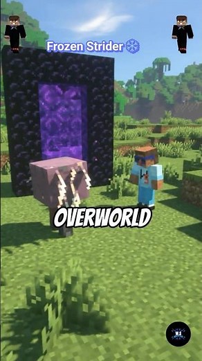 Striders Freeze Outside the Nether #minecraft #shorts