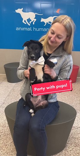 You AND YOUR DOG are invited to Whisker Whirl, a heartfelt celebration that makes second chances possible for animals in need on September 16 in Minneapolis. #WhiskerWhirl #dogfriendly #rescue #Minnesota