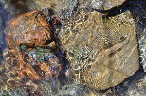 Wastewater project harnesses anaerobic bacteria to save energy