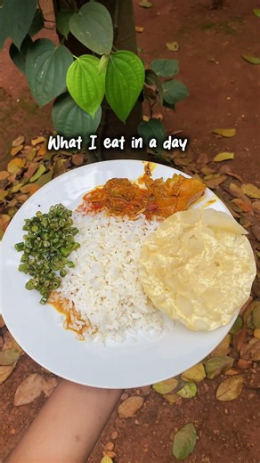 🌻What I Eat in a Day🍮#whatieatinaday #malayalam #biriyani #fry#whatsinmyplate#lunch #vlog
