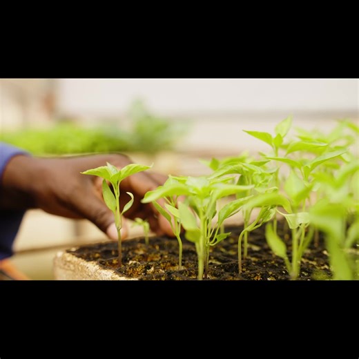 African Development Fund - Replenishment