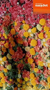 4.7M views · 5.4K reactions | Explore Europe's hidden beaches, historic cities, and bustling ski resorts for less  #WhyNot? T&Cs apply, please see easyJet.com | easyJet | Facebook