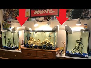 Connecting 3 Aquariums With 2 Aqua Bridges!