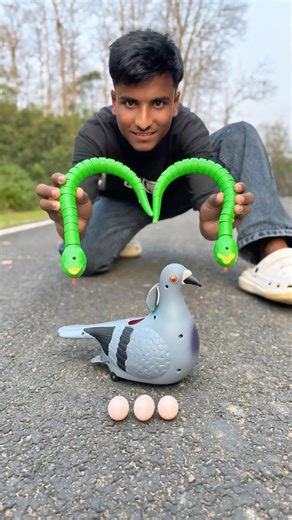 RC Snake 🐍 + Bird 🐦 Unboxing 😲