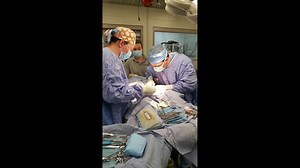 Niabi Zoo calls in OB/GYN doctor to perform rare surgery on monkey