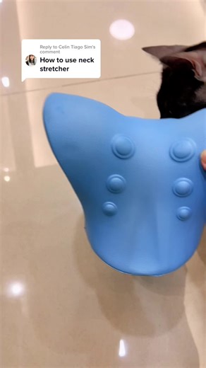 Effective Ways to Use a Neck Stretcher for Relief