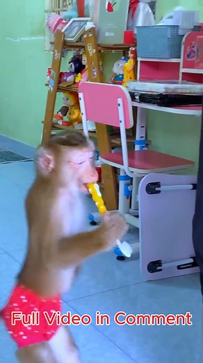 7.3K views · 177 reactions | After urinating in the middle of the night, Monkey Lyly is reluctant to seek her mother for assistance.........#Babymonkey #Monkey #Monkeylyly #Famliylyly | Monkey LyLy Famliy | Facebook