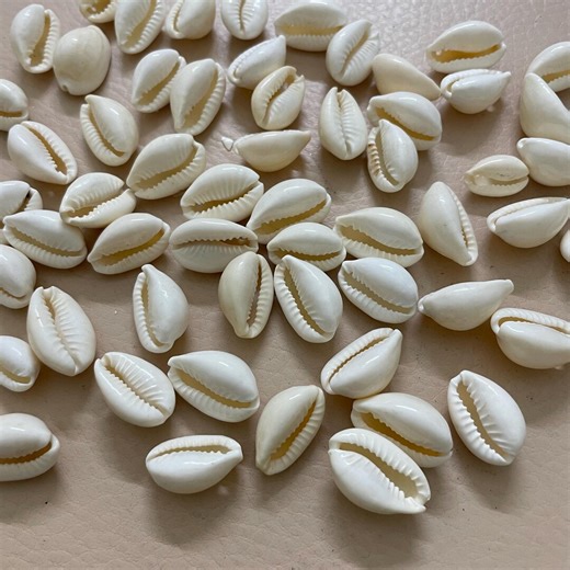 Small White Cowrie Shells With Single Hole - Etsy