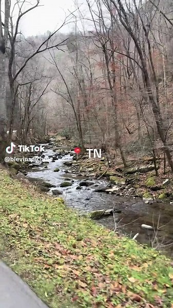 🤍 | Great Smoky Mountains, Tennessee