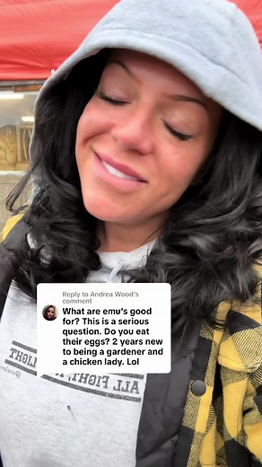 Interesting Facts About Emus: The More You Know