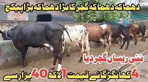 Farming And Business Ideas on Reels