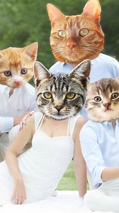 Litterbox Comics | If you haven't seen the video we made yet, take a look! We tried to make it fun! 😸... | Instagram