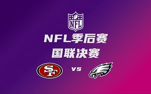 【NFL季后赛名场面】飞进超级碗！老鹰3节击败残阵49人！