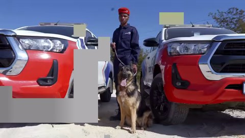 We specialize in the range of security services including static Armed and Unarmed Guarding, Tactical Response, K9, Close Protection, Riot Control, Hotel transfer Land invasion , Forensic Investigations, Cyber Security and Security Technology!! NATIONAL SAFETY, OUR COMMITMENT | Calvin and Family Security Services