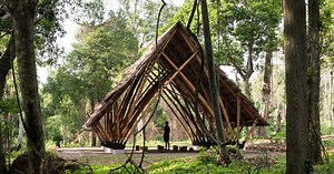 bamboo community hall for indigenous peoples in argentina is like a door to the jungle
