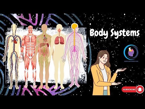 Exploring Our Amazing Body Systems: A Fun Guide for Kids