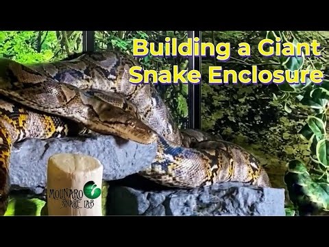 Building a Giant Enclosure for My Reticulated Python