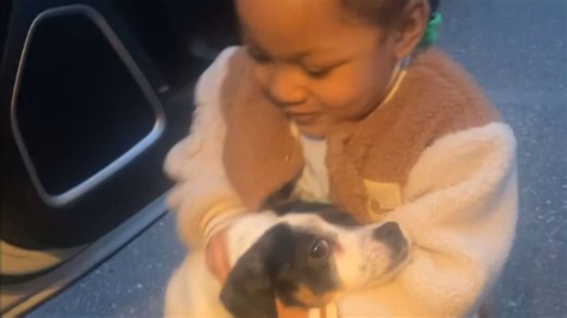 Little girl offers a safe haven for a canine castaway