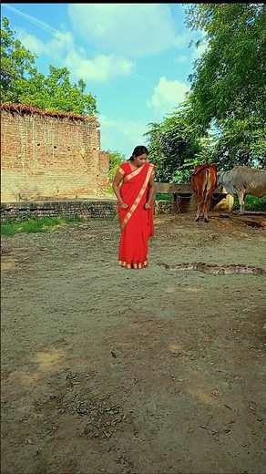 woman and big python snake 🐍#ai #wildlifeentertainment