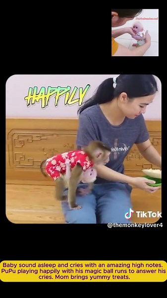 Funny Baby Monkey Poki Shouting Loud - Pupu Calls for Attention
