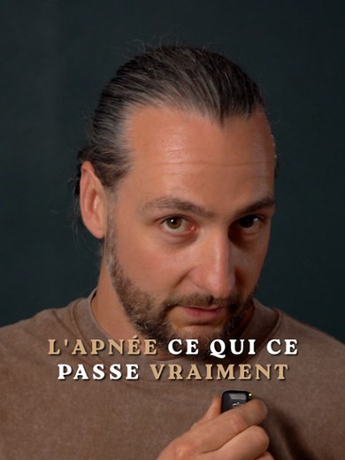 Apnée et EPO naturelle : que fait la rate pendant l'apnée?