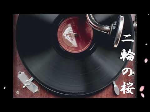 【軍歌・戦時歌謡】二輪の桜(同期の桜)
