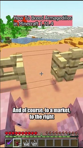 How To Breed Armadillos in Minecraft #minecraft #shorts