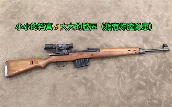 G43半自动步枪原理解析【WOG&红色管弦乐队2&Squad 44】