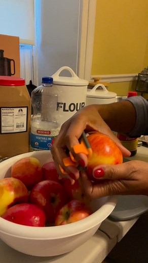 Make this delicious Jewish Apple Cake with me! | 4 Every Occasion Cakes & Cupcakes - Phillycakelady