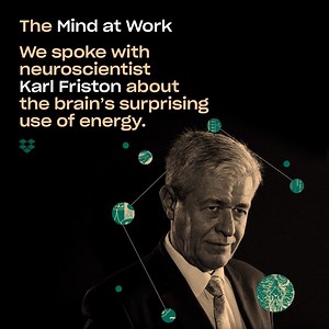 65K views · 48 reactions | How much of our body’s energy does the...